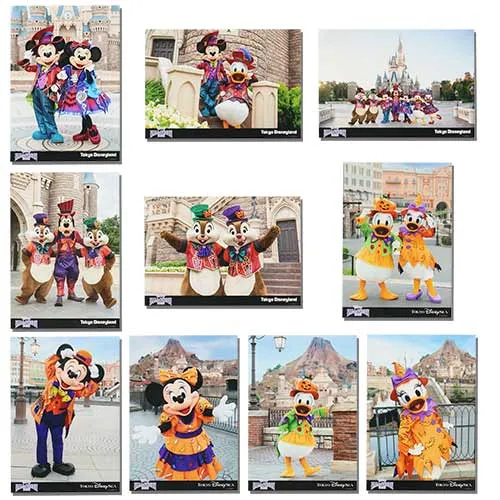 写真セット