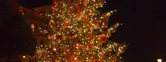 ジュビリーブルーのクリスマスツリー