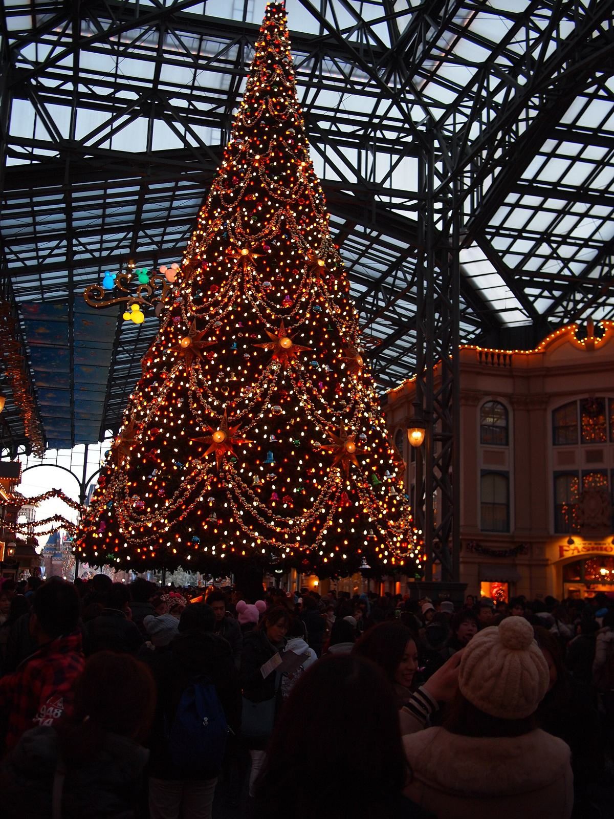 夕暮れのワールドバザールに輝く大きなクリスマスツリー(東京ディズニーランド)