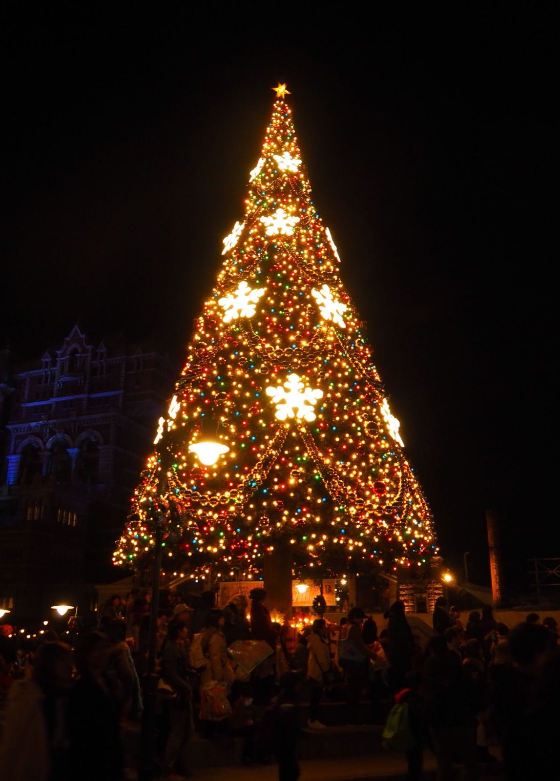 夜の東京ディズニーシーで光るクリスマスツリー(2015年)